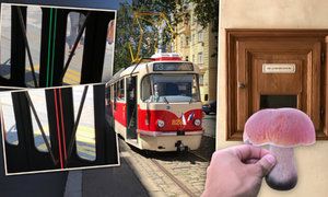 Nová tramvaj v Praze: Její dveře mění barvu! A tajemná schránka, která pozná vaše houby