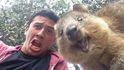 Zvířata umí vyfotit skvělé selfie. Nechte se inspirovat