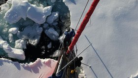 Český úspěch: Námořní expedice překonala světový rekord, na plachetnici doplula k Antarktidě
