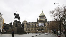 Semelová žádá, aby byl z budovy Národního muzea sundán portrét Václava Havla