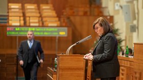 Senát nepodpořil daňový balíček: Alena Schillerová (za ANO; 4. 12. 2019)