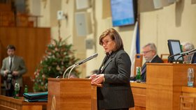 Senát nepodpořil daňový balíček: Alena Schillerová (za ANO; 4. 12. 2019).