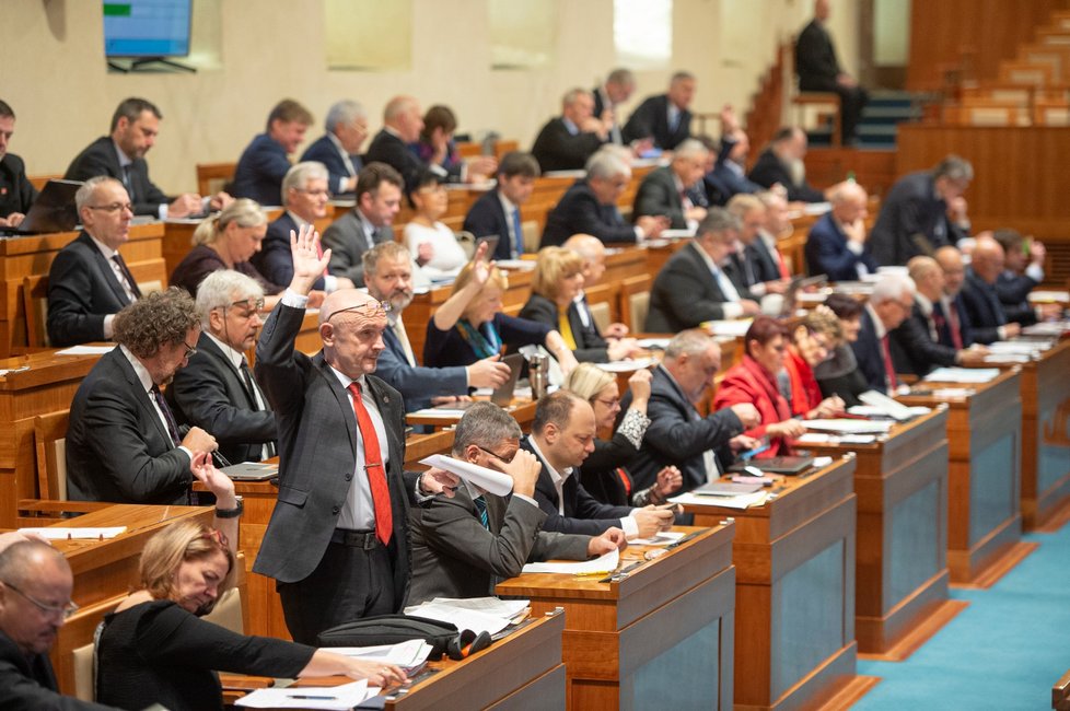 Senát návrh rodičovského příspěvku podpořil, chce ale o 80 tisíc více všem rodinám s dětmi do čtyř let.