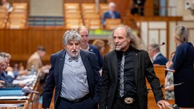 Jednání Senátu: Poslanci Rychlík a Papoušek (srpen 2026)