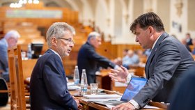 Jednání Senátu: Předseda Miloš Vystrčil (ODS)