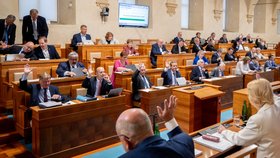 Jednání Senátu (srpen 2026)
