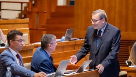 Jednání Senátu (srpen 2026)