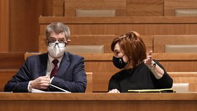 Jednání Senátu o daňovém balíčku: Premiér Andrej Babiš (ANO) a ministryně financí Alena Schillerová (za ANO) (10.12.2020)