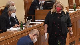 Jednání Senátu o stavebním zákonu: Ministryně pro místní rozvoj Klára Dostálová (1.7.2021)