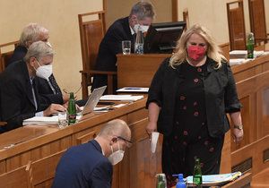 Jednání Senátu o stavebním zákonu: Ministryně pro místní rozvoj Klára Dostálová (1.7.2021)