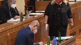 „Dítě“ Dostálové nenašlo podporu. Stavební zákon senátoři jednomyslně smetli ze stolu