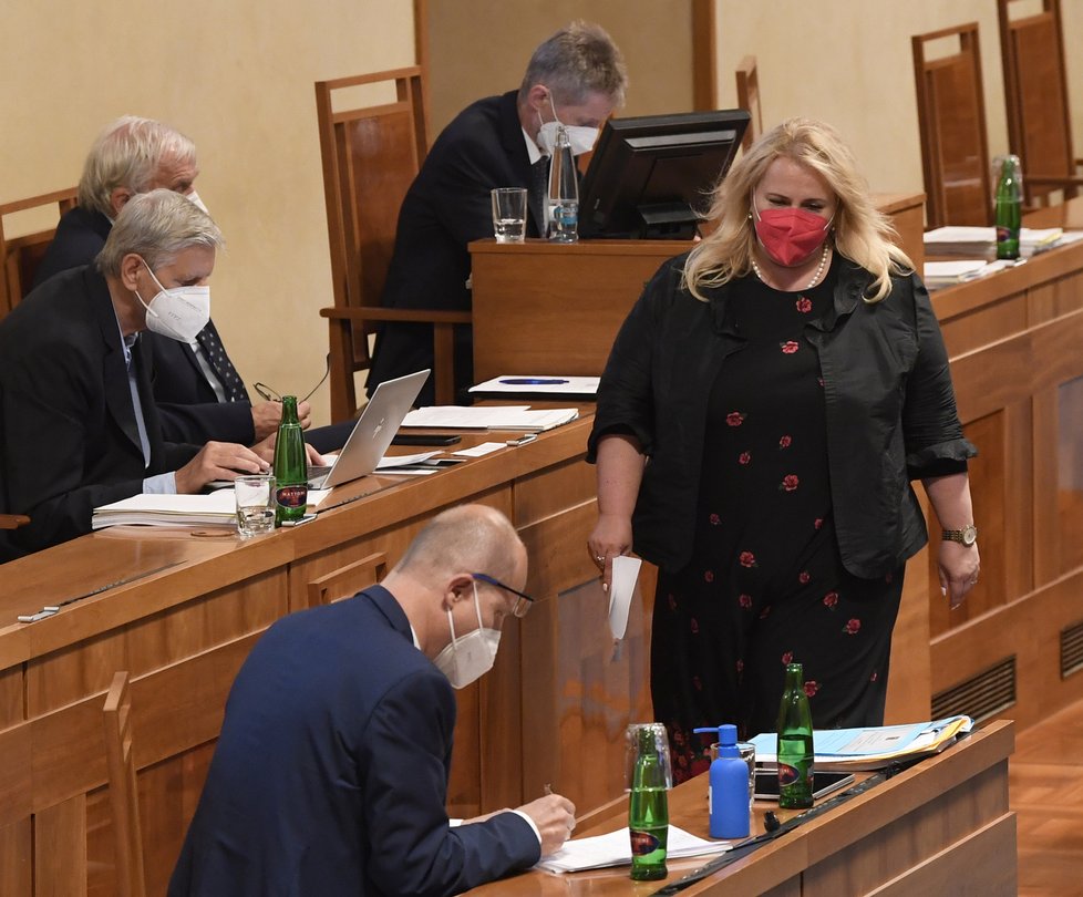 Bývalá ministryně pro místní rozvoj Klára Dostálová v Senátu