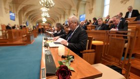 Rudá růže leží na stole zesnulého předsedy Senátu Jaroslava Kubery na snímku pořízeném na schůzi horní komory (29. 1. 2020)