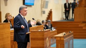 Schůze Senátu: Ministr spravedlnosti Blažek před senátory