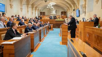 Senát schválil členství Švédska a Finska v NATO, Fiala očekává stejný průběh i ve Sněmovně