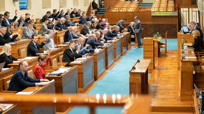 Senát umožnil přijetí zákona o vyplacení příspěvku 5000 korun na dítě