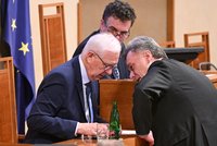 Noční jednání v Senátu. Chystá se debata kvůli  úmluvě proti násilí na ženách