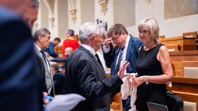 28. schůze Senátu (29. 7. 2026)