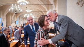 28. schůze Senátu (29. 7. 2026)