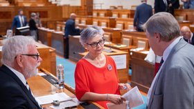 28. schůze Senátu (29. 7. 2026)