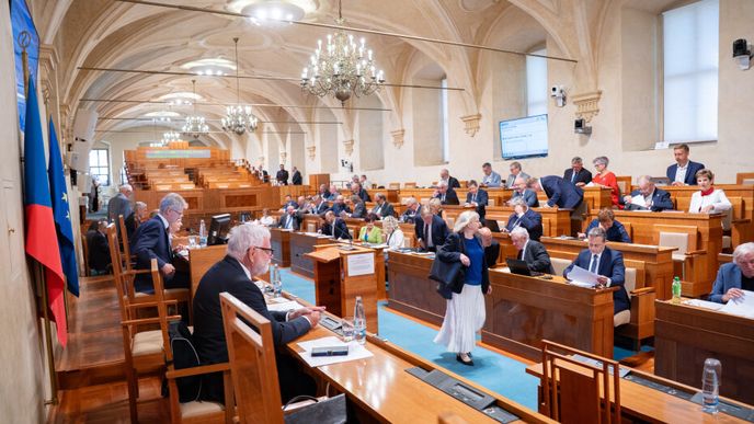 28. schůze Senátu (29. 7. 2026) 28. schůze Senátu (29. 7. 2026)