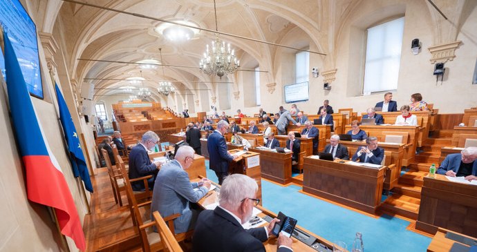 28. schůze Senátu (29. 7. 2026)