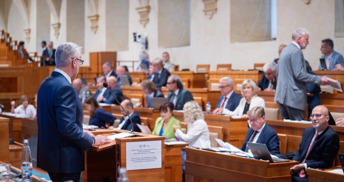 28. schůze Senátu (29. 7. 2026)