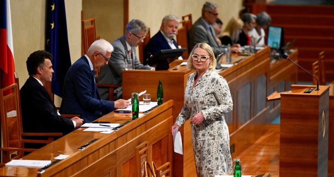 Schůze Senátu ČR (13. 7. 2023)