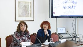 Senátní seminář o sexualizovaném a domácím násilí: Senátorka Miluše Horská a soudní znalkyně Ludmila Čírtková (28.3.2023)