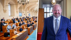 Senát asi nabídne Sněmovně vlastní návrh o nepromlčitelnosti vraždy