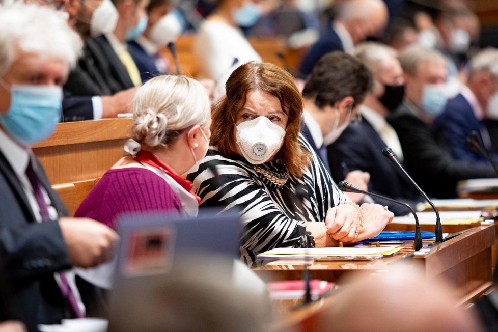 Jednání Senátu v době pandemie koronaviru (12. 11. 2020)