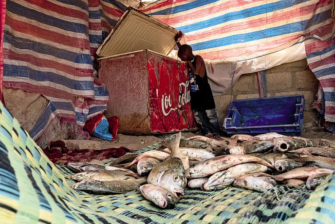 Základním zdrojem proteinu jsou v Senegalu ryby
