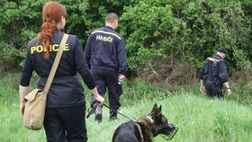 Policie hledá houbaře, který zmizel v lese na Prostějovsku.