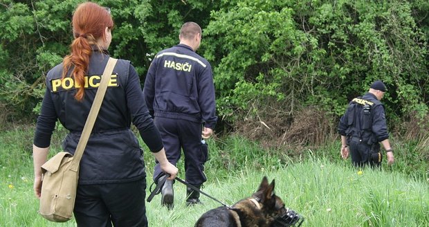 Policie hledá houbaře, který zmizel v lese na Prostějovsku.