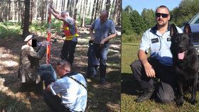 Stařeček (84) zkolaboval v lese na Třebíčsku: Zachránil ho policejní pes Gauner