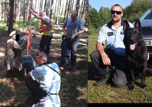 Stařeček (84) zkolaboval v lese na Třebíčsku: Zachránil ho policejní pes Gauner