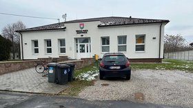 Kurýr s dodávkou srazil a usmrtil seniorku.