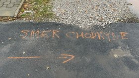 Kurýr s dodávkou srazil a usmrtil seniorku.