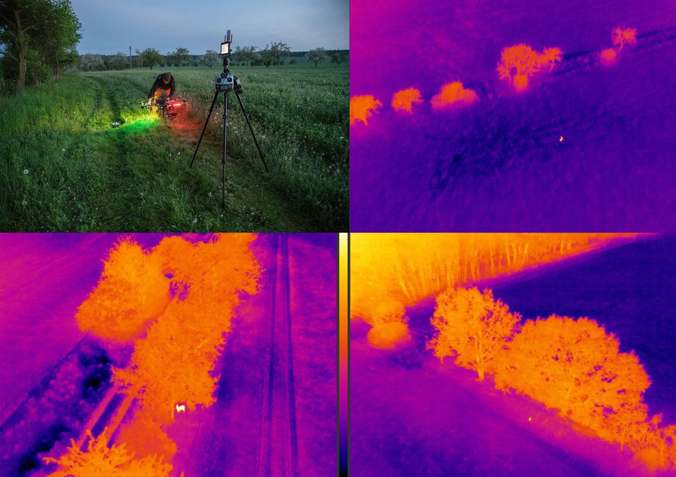 Nová aplikace Senoseč má pomoct zemědělcům a myslivcům při sečení luk. Termokamera na dronu odhalí zvíře v trávě, které se tak pomůže zachránit před těžkými stroji a jisté smrti