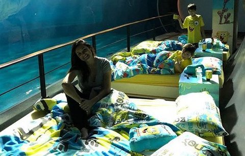 Alena Šeredová dopřála synům nevšední zážitek! Ustlali si mezi žraloky