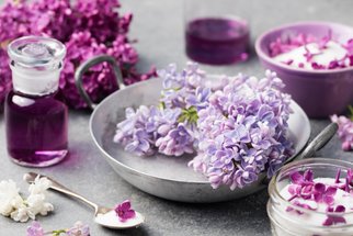 Šeříkové květy: Tajná zbraň vaší kuchyně, která dodá jídlu chuť i půvab