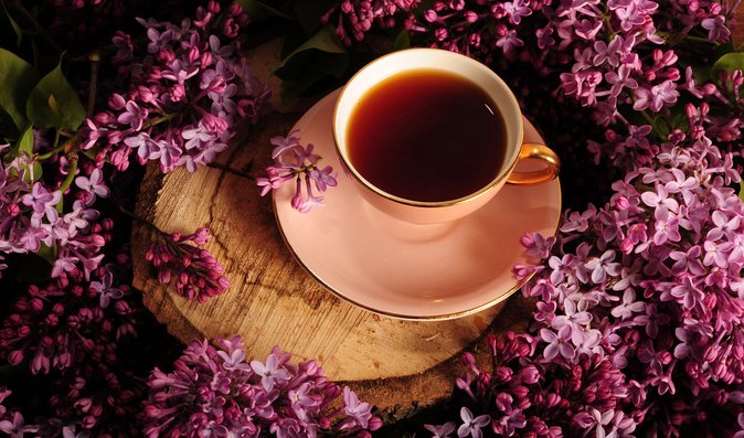 Šeříkový čaj dodá energii
