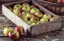 Co s přebytečnými jablky? 4 super recepty!
