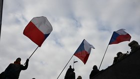 Děkan VŠE Ševčík se pokusil po demonstraci dostat do Národního muzea. VŠE se jeho jednání nelíbí. 