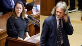 Byl Ševčík pod vlivem? Poslanec SPD pokřikoval na kolegyni, pak urážel