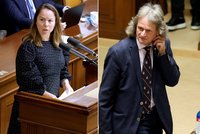 Byl Ševčík pod vlivem? Poslanec SPD pokřikoval na kolegyni, pak urážel