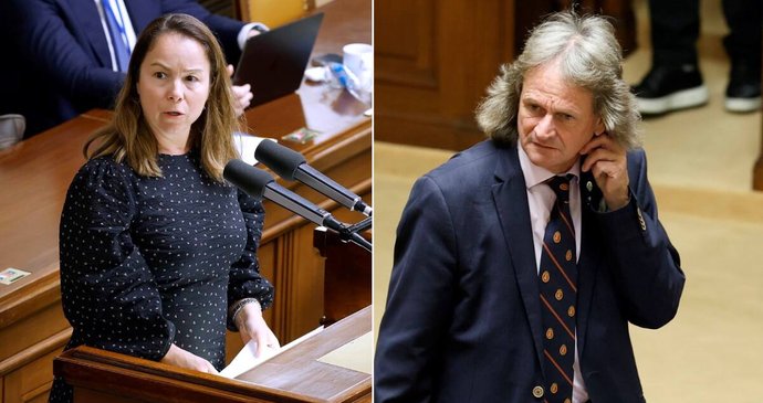 Poslanci: Byl Ševčík pod vlivem? Poslanec SPD pokřikoval na kolegyni, pak urážel.