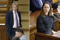 Šebelová pro Blesk: „Ze Ševčíka to šíleně táhlo!“ Oplzlé útoky ve Sněmovně budou mít dohru