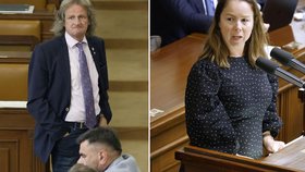 Miroslav Ševčík oplzle pokřikoval na Michaelu Šebelovou.