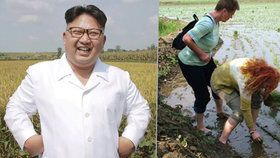 Zneužívá Kim turisty na otrocké práce?